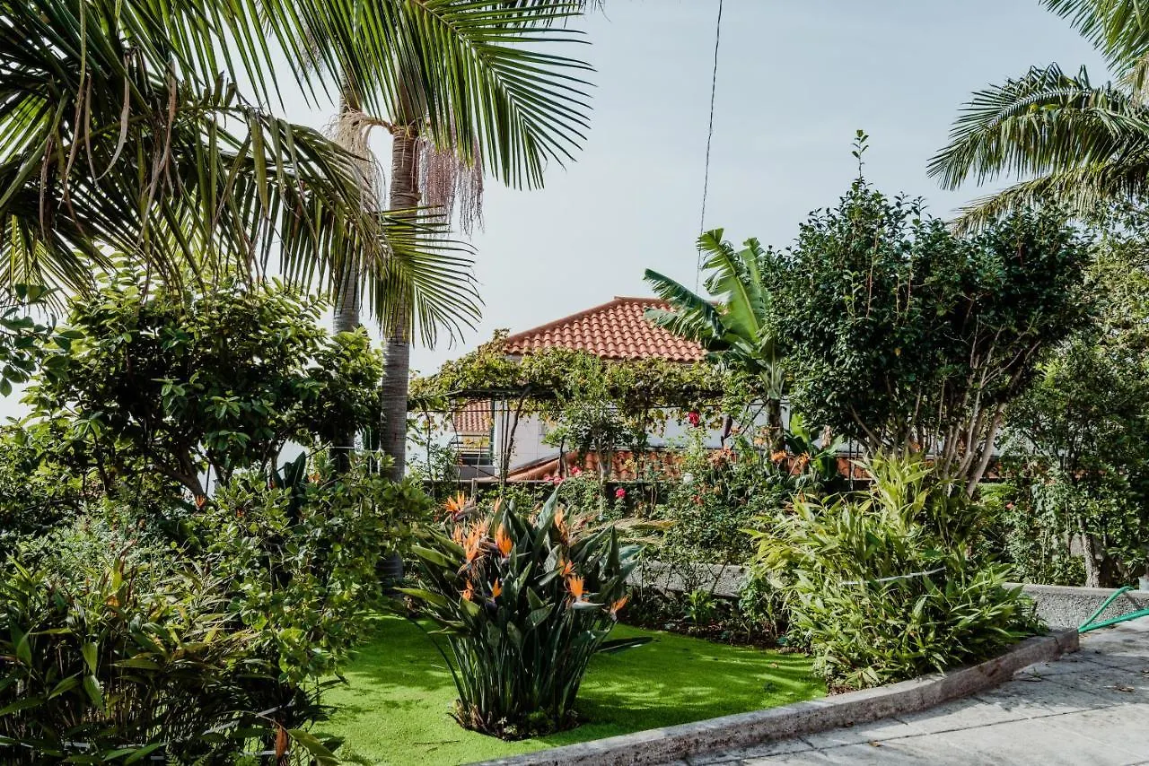 City View Gardens I Funchal  Lejlighed Funchal (Madeira)